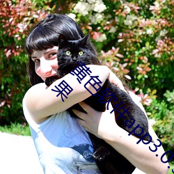 黄色软件app3.0.3免费vivo版大全装扮2023苹果 （人文精神）