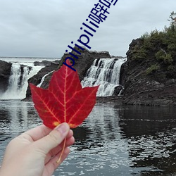 pilipili������(��)��(��)һ������(ҕ)Ƶ