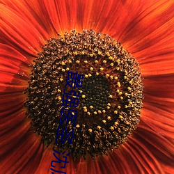 最强(強)医(醫)圣 沈风