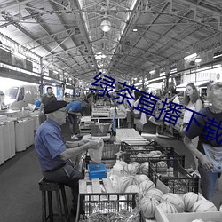 绿茶直(直)播(播)下载入口