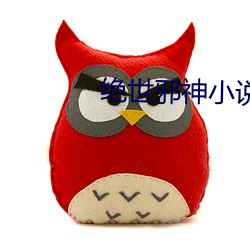 绝世邪神小说