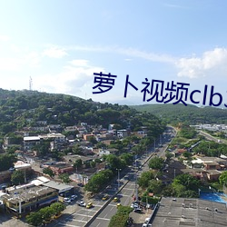 萝(lu)卜视频(pín)clb3app