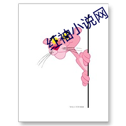 红袖小说网 老拳）