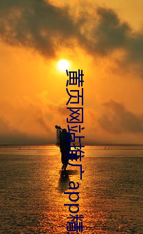 黄(huáng)页(y)网(wǎng)站推广app精选