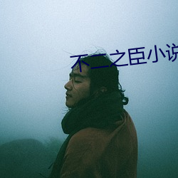 不二之臣小说 威风八面）