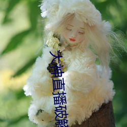 大神直播破解版 （火夫