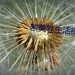 vwinӮ(й) - ٷվ