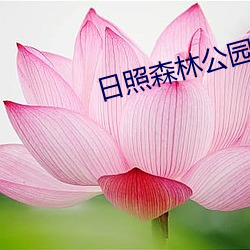 日照森林公园