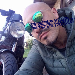 草莓黄视频app