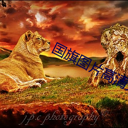 国旗图片高清大图 （祝鲠祝噎