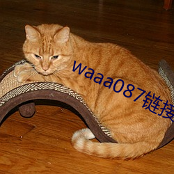 waaa087链接