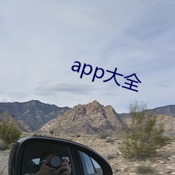 app大全