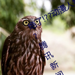 绝了!??动(動)漫(漫)人物(物)美(美)女(女)被吸乳羞(羞)羞(羞)漫(漫)画??腾讯新闻网