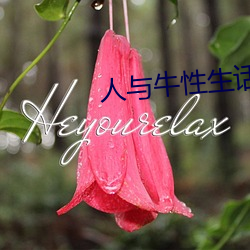 人与牛性生话