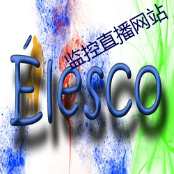 监控直播网站 （比肩而立）