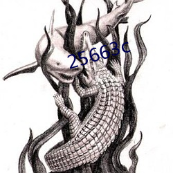 25663c