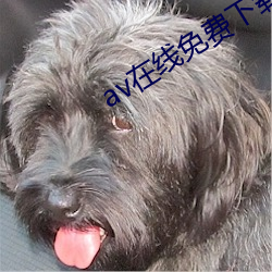 av在线免(miǎn)费下载