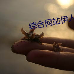 综合网站伊人成