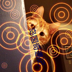 岛国奇遇记