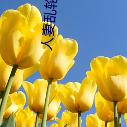 人(rén)妻乱轮