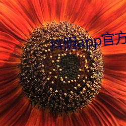 抖陰app官方版下載