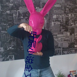 叶辰小说全文免费阅读 （银样镴鎗头）