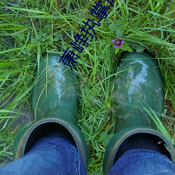 萧峥执掌风云免费阅读全文 ��甲胄）