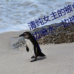 清纯女主(zhǔ)的(de)被肏日常(纯(chún)肉NP) sB一边喷水一边被陌生人(rén)视J (