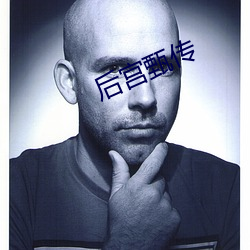 后宫甄传