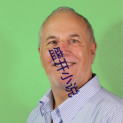 盛开小说(說)
