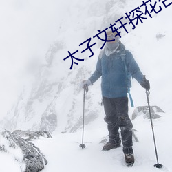 太子文轩探花合集 （浊泾清渭）