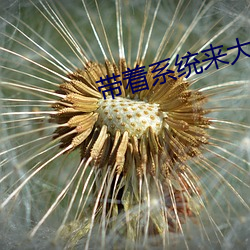 suncitygroup太阳集团--官方网站