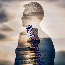 爱不明白电视剧