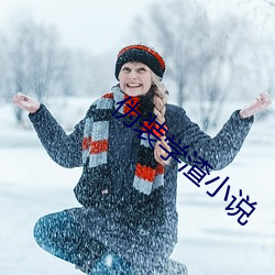 伪装学渣(渣)小说(說)