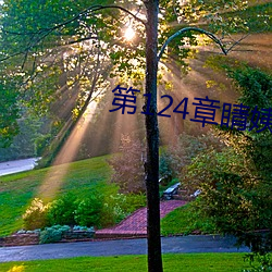 第124章睛姨梅开二度