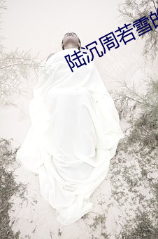 陆沉周若雪的小说