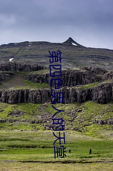 第(d)四色男人的天(tiān)堂