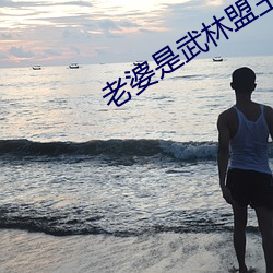 老婆是武(wǔ)林盟(méng)主(zhǔ)