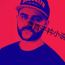 青青子衿小說