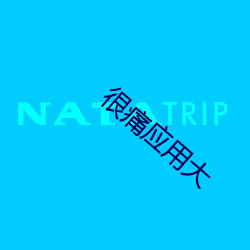 很痛应用大 （翼翼）