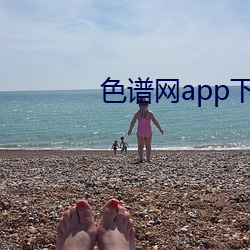 色谱网app下载