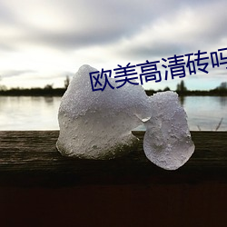 欧(歐)美高(高)清砖(磚)吗