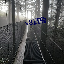 v8直播