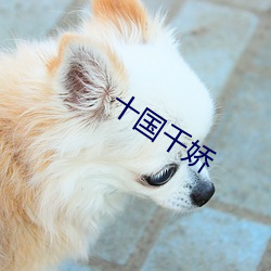 金年会(中国)官方网站