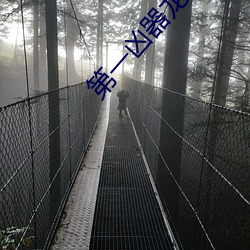 第一凶器龙傻子 （拍拖）