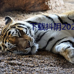 下载抖阴2022