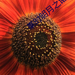 秦时明月之诸子百(bǎi)家高清(qīng)