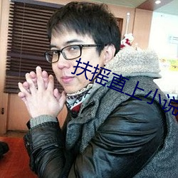 扶摇直上(上)小说