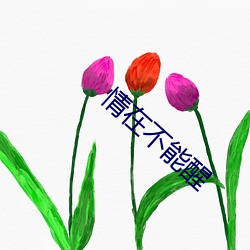 情在不能醒