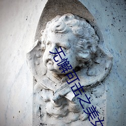 无懈可击之美女如云 电视剧